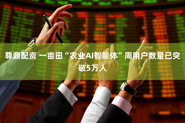 尊鼎配资 一亩田“农业AI智能体”周用户数量已突破5万人