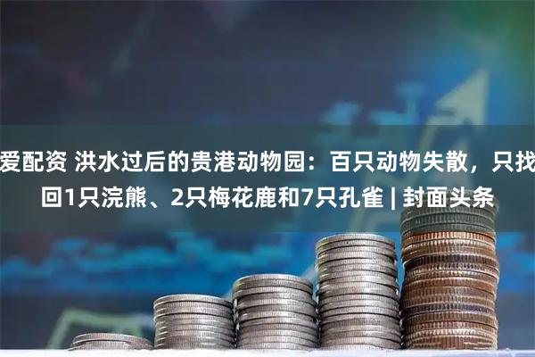 爱配资 洪水过后的贵港动物园：百只动物失散，只找回1只浣熊、2只梅花鹿和7只孔雀 | 封面头条